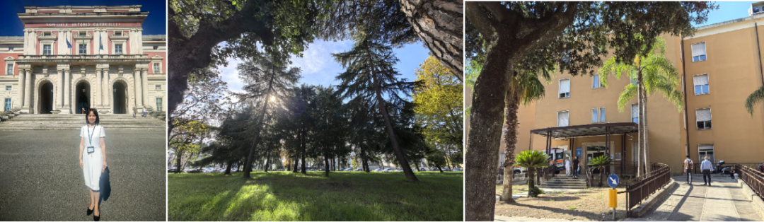 意大利眼科怎么样意大利安东尼奥·卡尔德雷利医院临床研修学习报告_https://www.jmylbn.com_新闻资讯_第3张