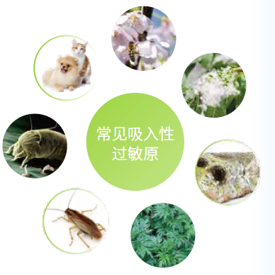 过敏检测仪有哪些国产品牌崛起·蓝怡一骑绝尘（过敏原篇） －AD-3000全自动过敏原IgE分析仪助力我国过敏周_https://www.jmylbn.com_新闻资讯_第6张