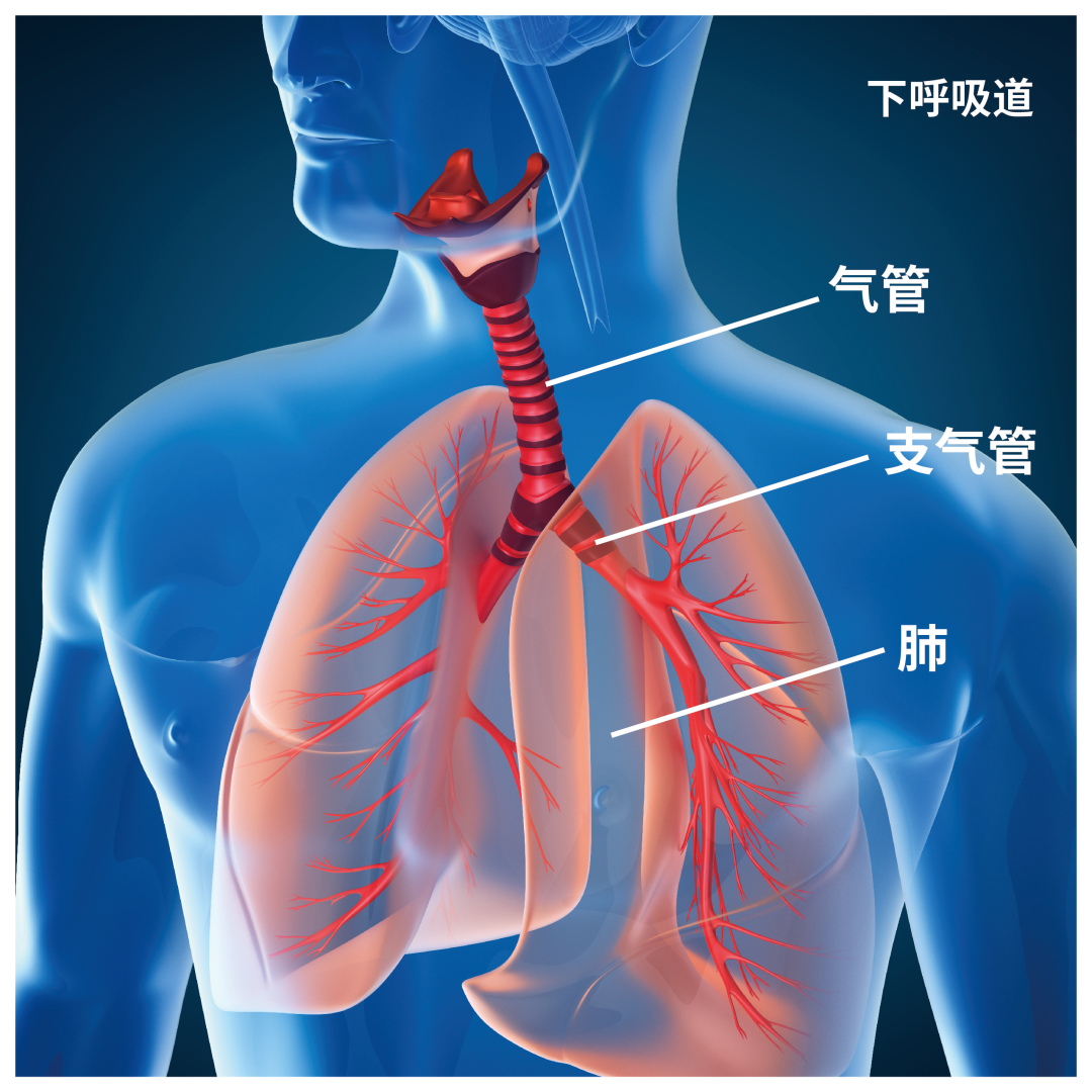 过敏检测仪有哪些国产品牌崛起·蓝怡一骑绝尘（过敏原篇） －AD-3000全自动过敏原IgE分析仪助力我国过敏周_https://www.jmylbn.com_新闻资讯_第3张