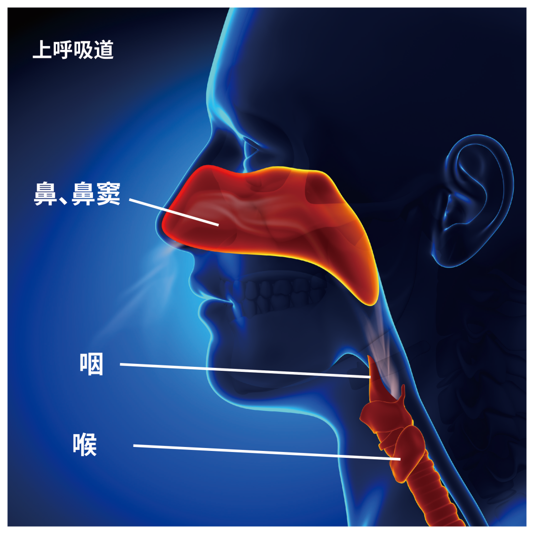 过敏检测仪有哪些国产品牌崛起·蓝怡一骑绝尘（过敏原篇） －AD-3000全自动过敏原IgE分析仪助力我国过敏周_https://www.jmylbn.com_新闻资讯_第2张