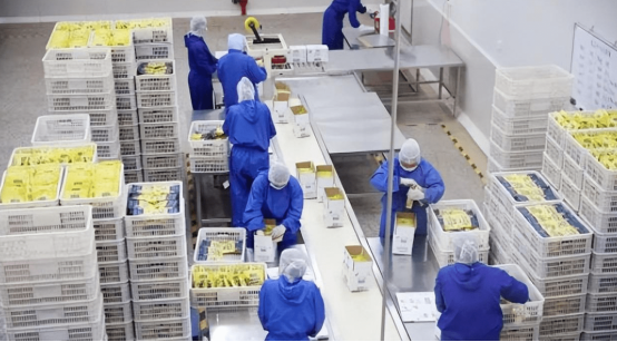 自动化工厂后端货物管理不再头疼，斯科的RFID技术方案有应对