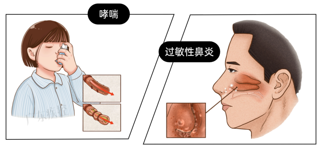 同色系列(1) (3).png