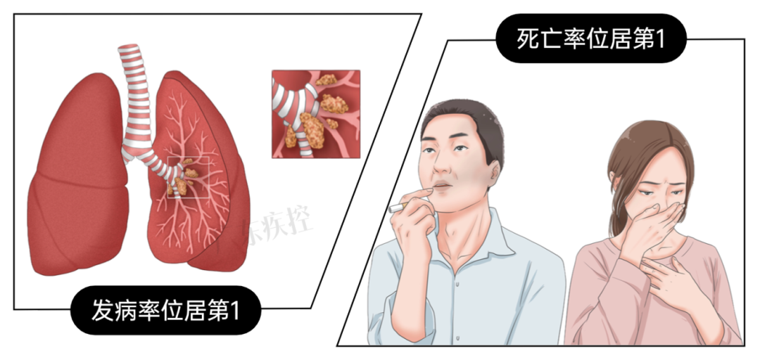 同色系列(1) (7).png