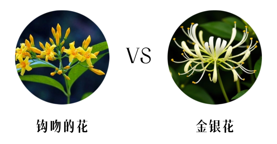 表情包加工 晓婷6 (4).png