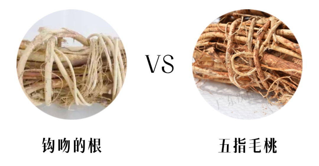 表情包加工 晓婷6 (5).png