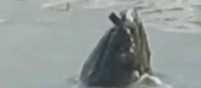 降临世界_神秘生物降临世间_神秘生物降临地球