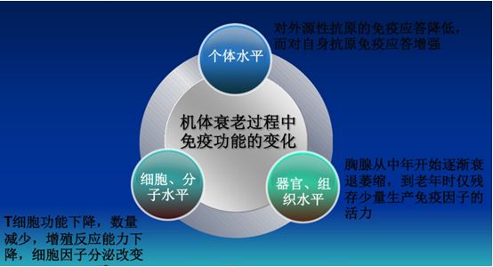 领航干细胞再生医学工程有限公司 引领再生医学 护航健康人生 全国