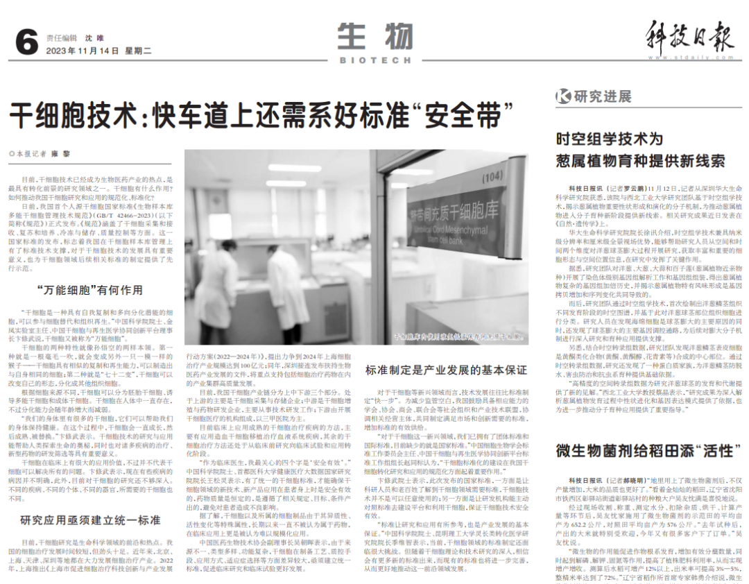科技日报 | 干细胞技术：快车道上还需系好标准“安全带”(图1)