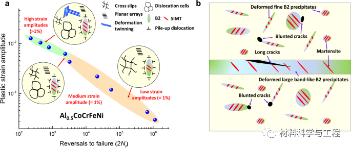 《Nature Commun》：利用可塑性变形析出相提升高熵合金疲劳寿命！的图7