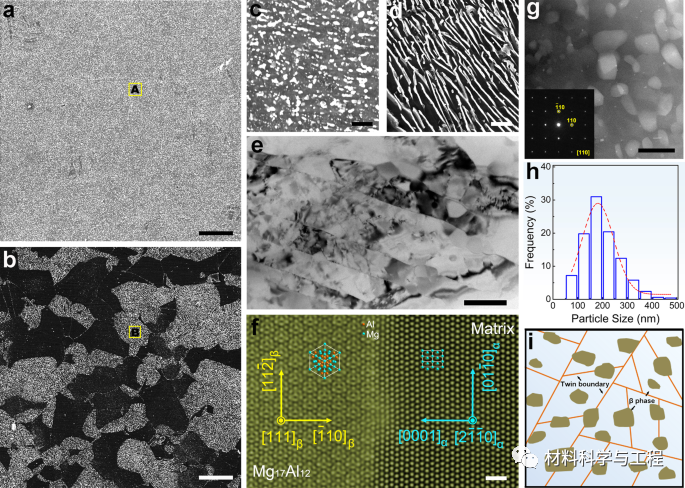 电偶腐蚀因子_电偶腐蚀如何分辨_电偶腐蚀