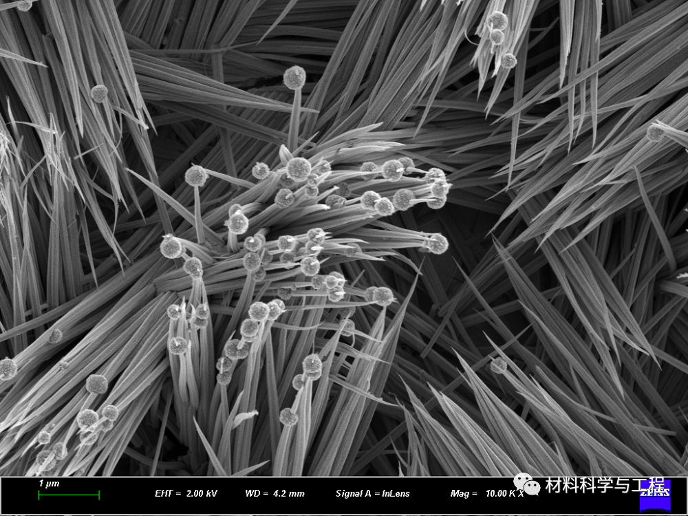 重磅：材料之美，第八届材料微结构大赛结果公布！的图16