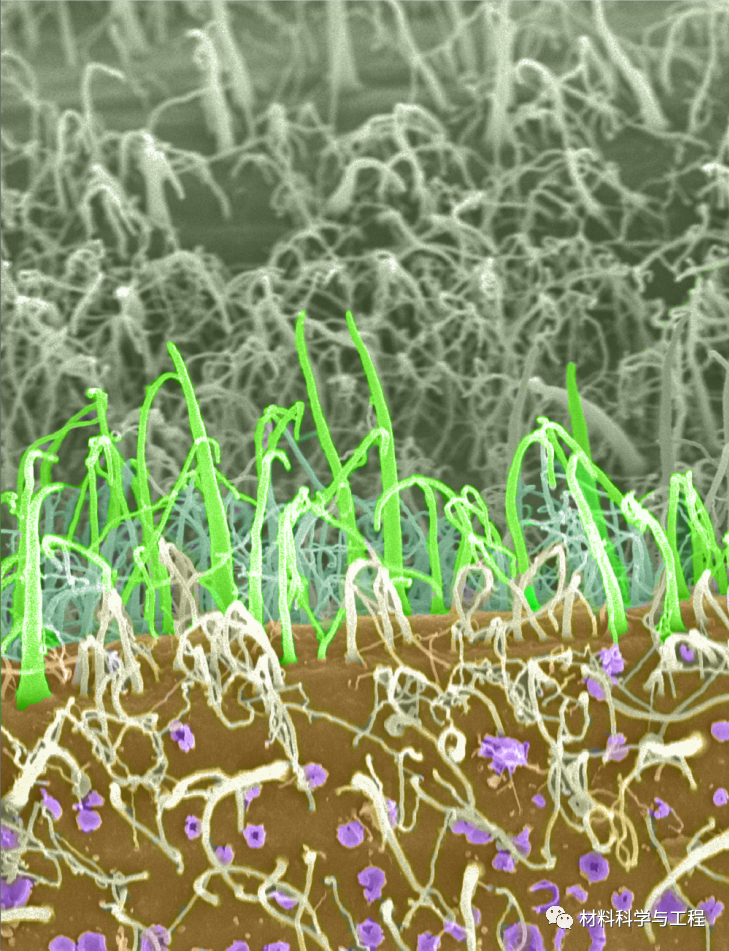 重磅：材料之美，第八届材料微结构大赛结果公布！的图55