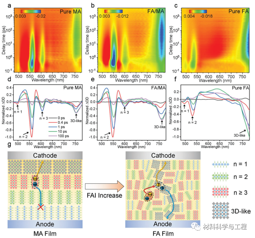 华科《Adv Mater》：效率稳定在21%以上的2D钙钛矿太阳能电池！的图4