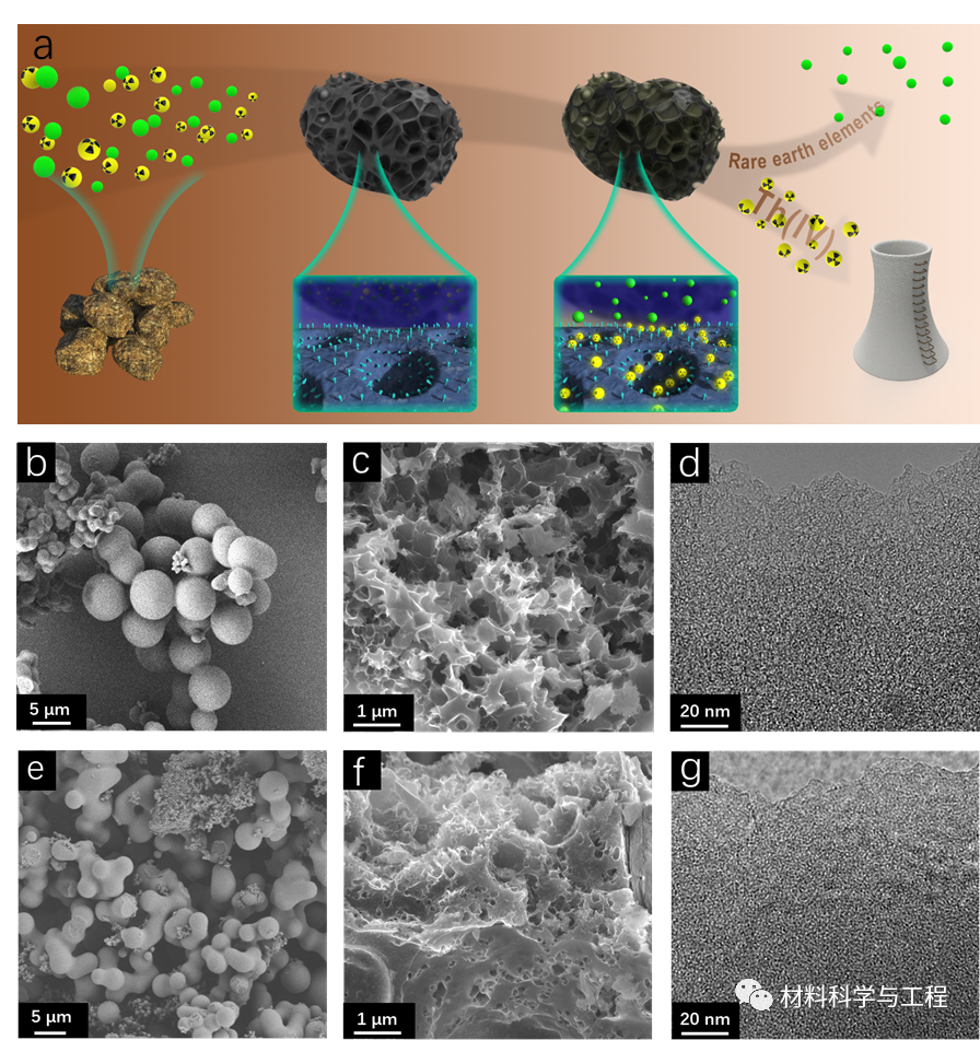 西安交大：富氧微孔碳作为超选择性分子筛从稀土元素中回收钍！的图1