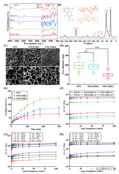 伤口凝胶怎么使用【生物医学】AFM：一种可加速伤口愈合的水凝胶！_https://www.jmylbn.com_新闻资讯_第6张