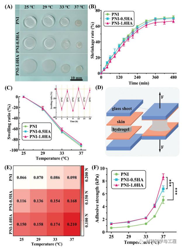 伤口凝胶怎么使用【生物医学】AFM：一种可加速伤口愈合的水凝胶！_https://www.jmylbn.com_新闻资讯_第7张