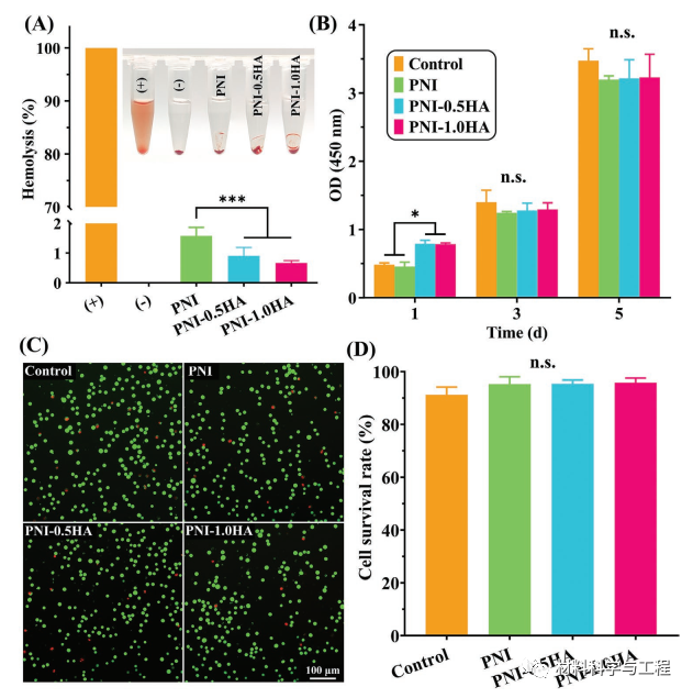 伤口凝胶怎么使用【生物医学】AFM：一种可加速伤口愈合的水凝胶！_https://www.jmylbn.com_新闻资讯_第8张