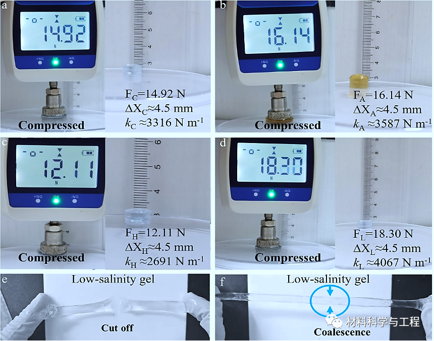 复旦《Adv Mater Tech》：可修复的智能自供电仿生皮肤！的图5