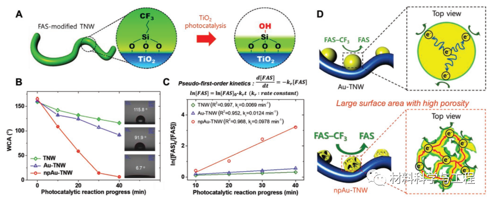 《AFM》：激光诱导表面重构纳米多孔金修饰二氧化钛纳米线！的图4