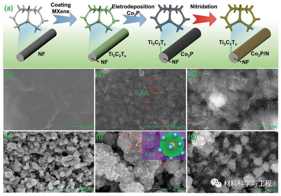 重大《AFM》：一种具有多异质结构界面和三维多孔结构的电催化剂的图2