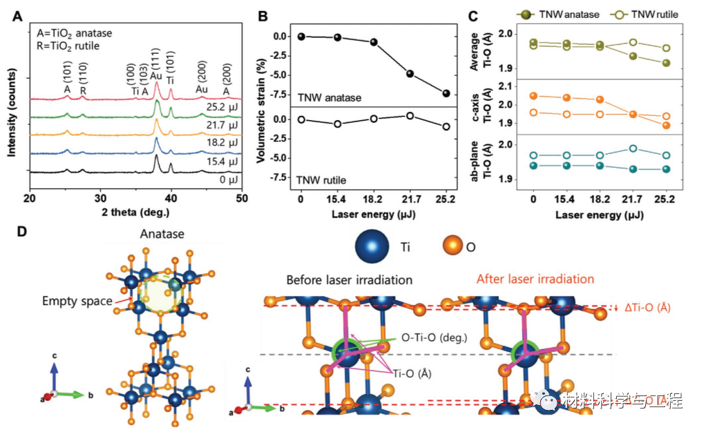 《AFM》：激光诱导表面重构纳米多孔金修饰二氧化钛纳米线！的图6