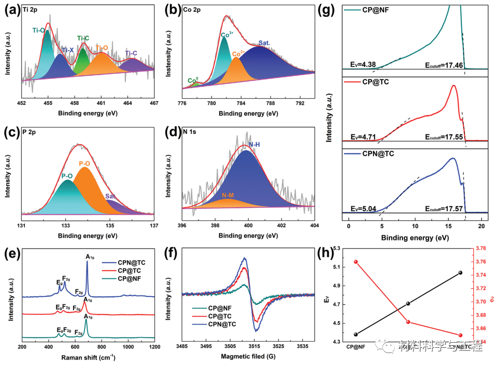 重大《AFM》：一种具有多异质结构界面和三维多孔结构的电催化剂的图4