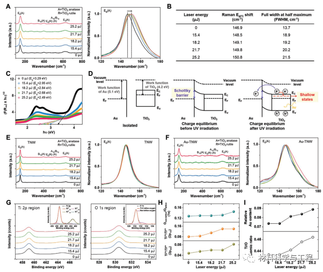 《AFM》：激光诱导表面重构纳米多孔金修饰二氧化钛纳米线！的图7