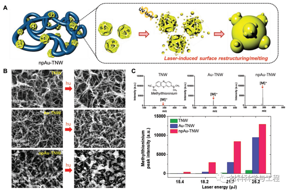 《AFM》：激光诱导表面重构纳米多孔金修饰二氧化钛纳米线！的图5