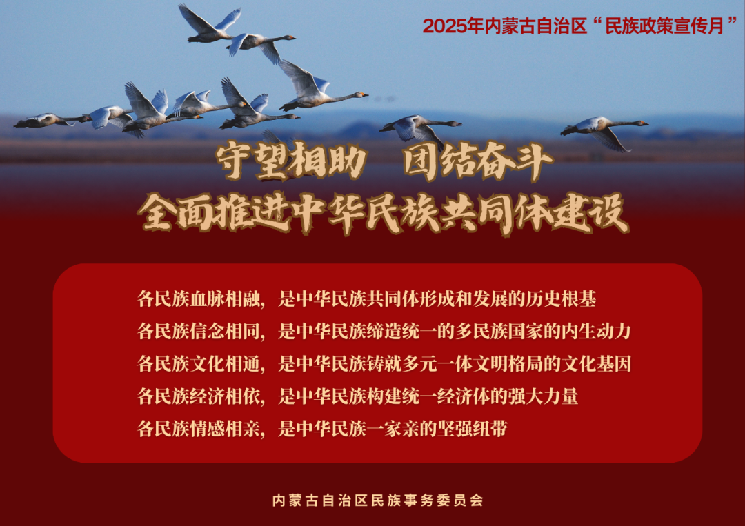 【民族政策宣传月】@所有人 2025年内蒙古自治区“民族政策宣传月”海报来了 ！（一） 第3张