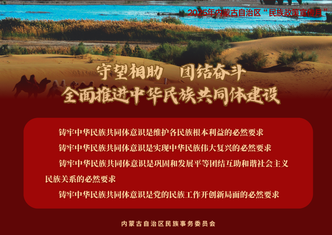 【民族政策宣传月】@所有人 2025年内蒙古自治区“民族政策宣传月”海报来了 ！（一） 第9张