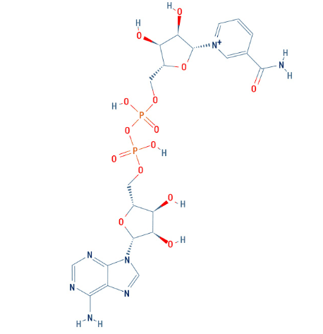 谷歌 亚马逊千亿资本入场 长寿行业 Nmn已成为下一个投资风口 美丽健康自由一生