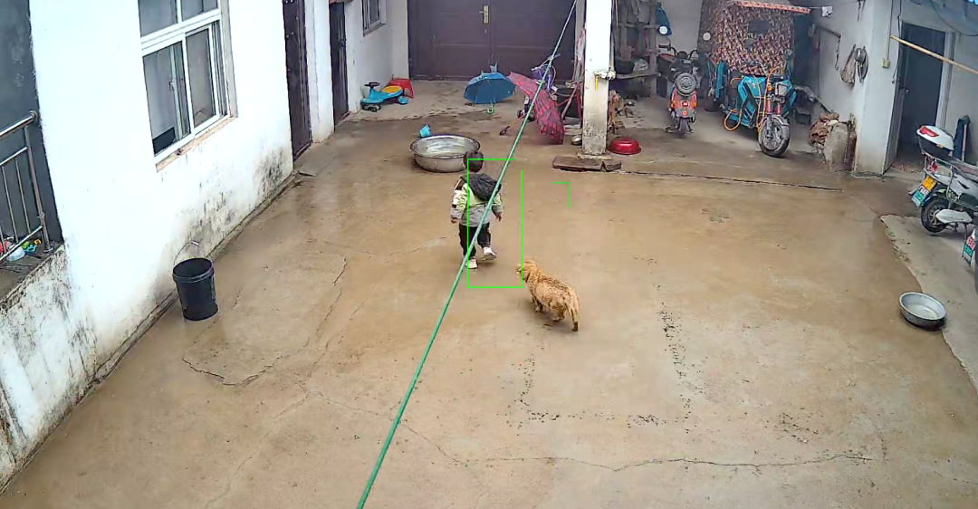 梦见狗咬着我我哭_半夜狗哭_狗会哭吗