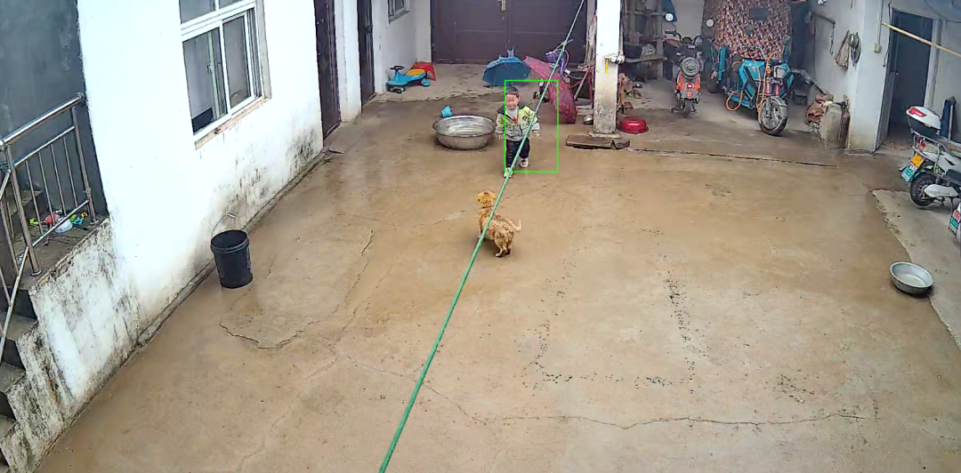 半夜狗哭_狗会哭吗_梦见狗咬着我我哭