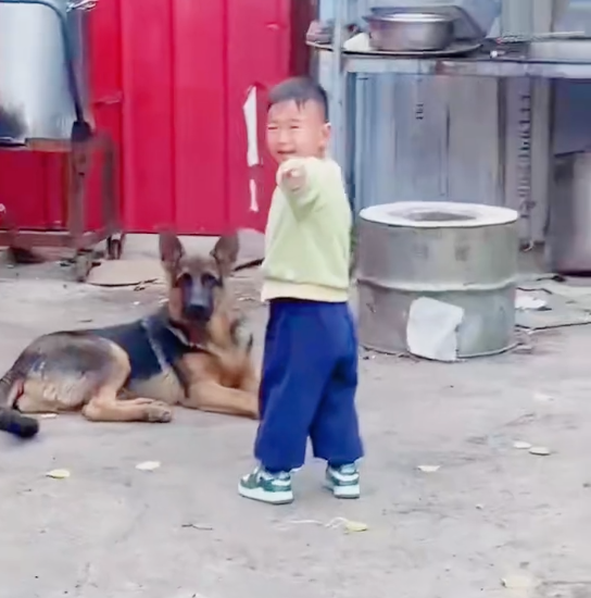 梦见狗咬着我我哭_狗会哭吗_半夜狗哭