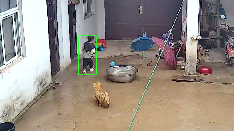 梦见狗咬着我我哭_半夜狗哭_狗会哭吗