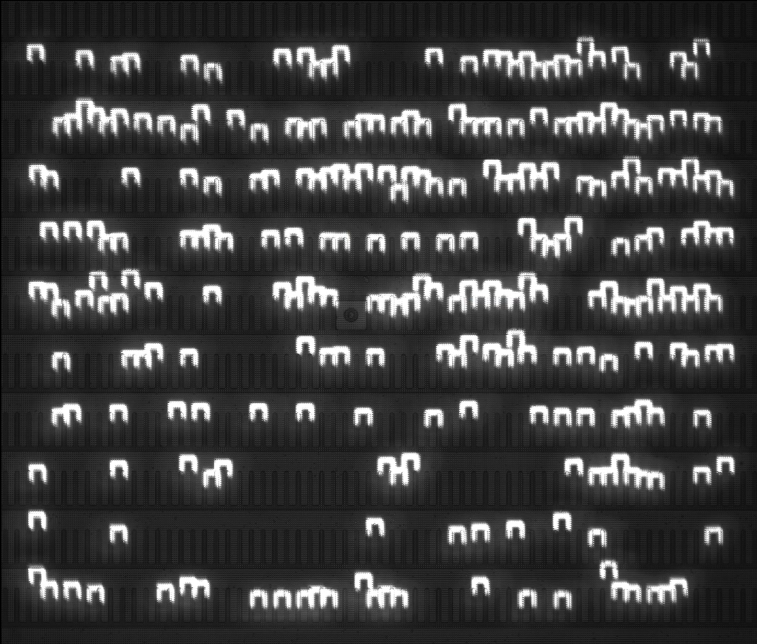 1111.png