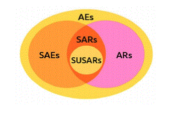 聊聊ae Sae Susar 全网搜