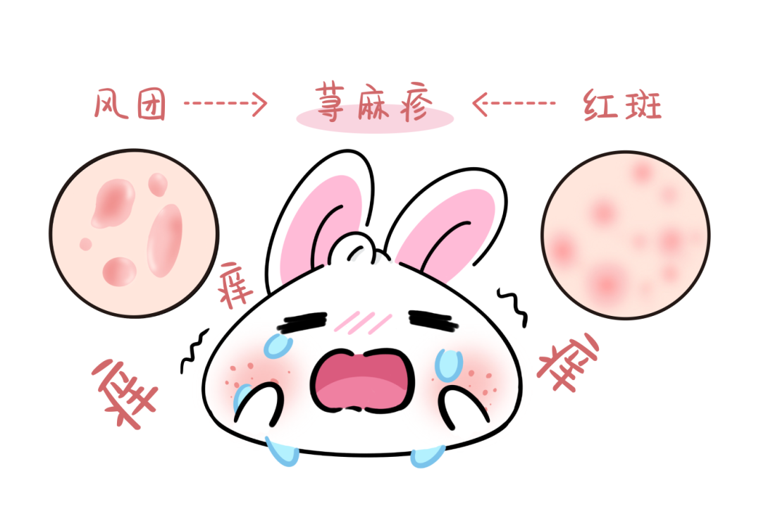 bb6e77daa7fbbf77e1d95bfb5f7e8948.png