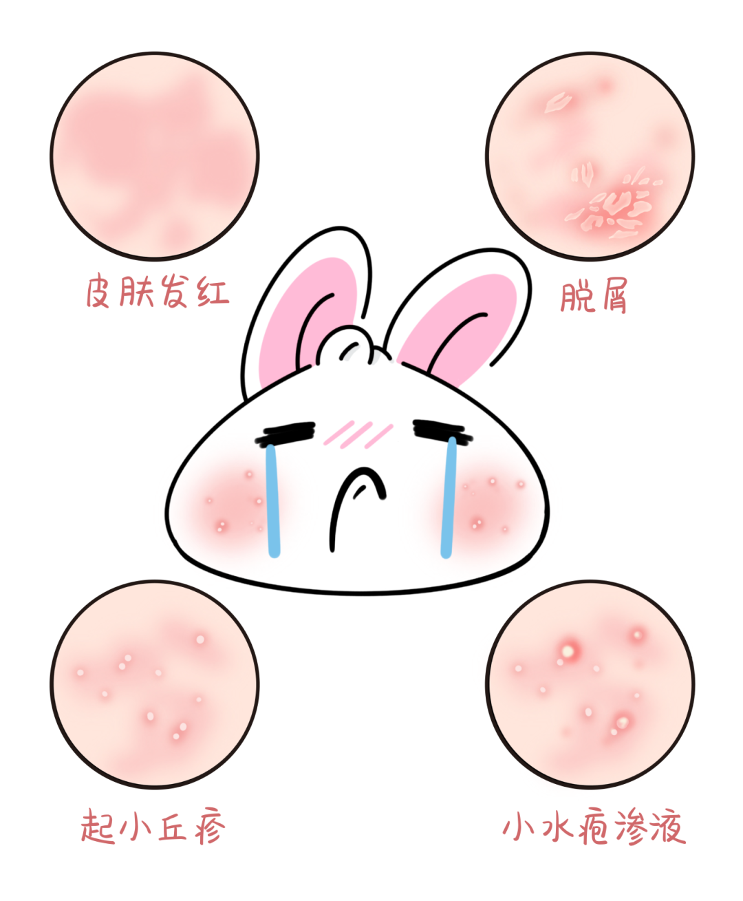 5ac6d09ec4444fb83e6a824faae04413.png