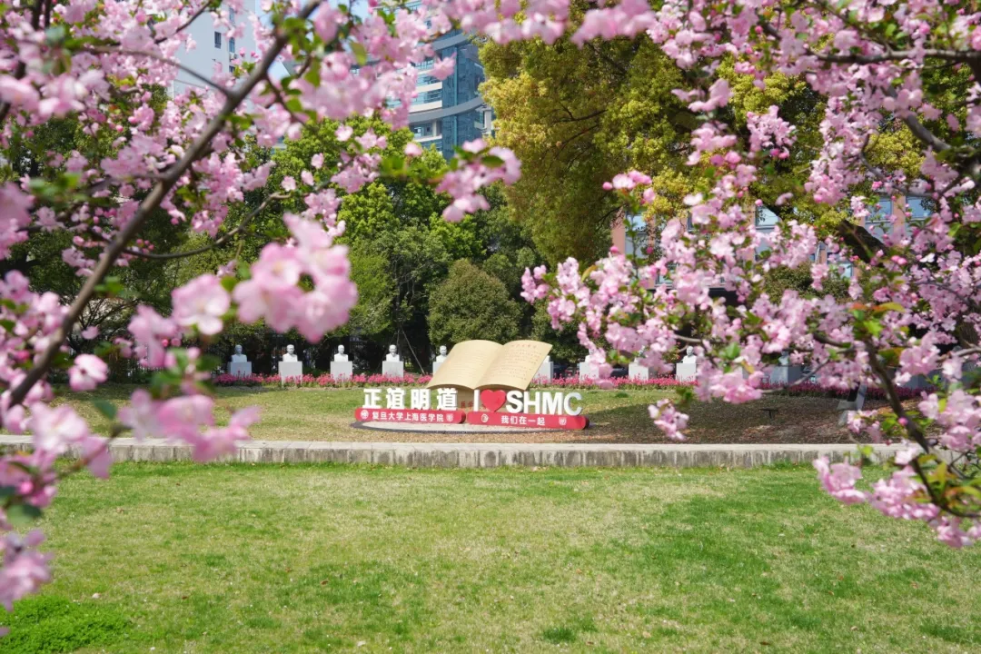 微信图片_2026-06-05_225717_009.png