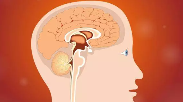 听性脑干反应检查是什么聚焦专题｜2022年第3期临床听力检测技术专题：听性脑干反应临床实践——技术应用到疾病诊断_https://www.jmylbn.com_新闻资讯_第1张