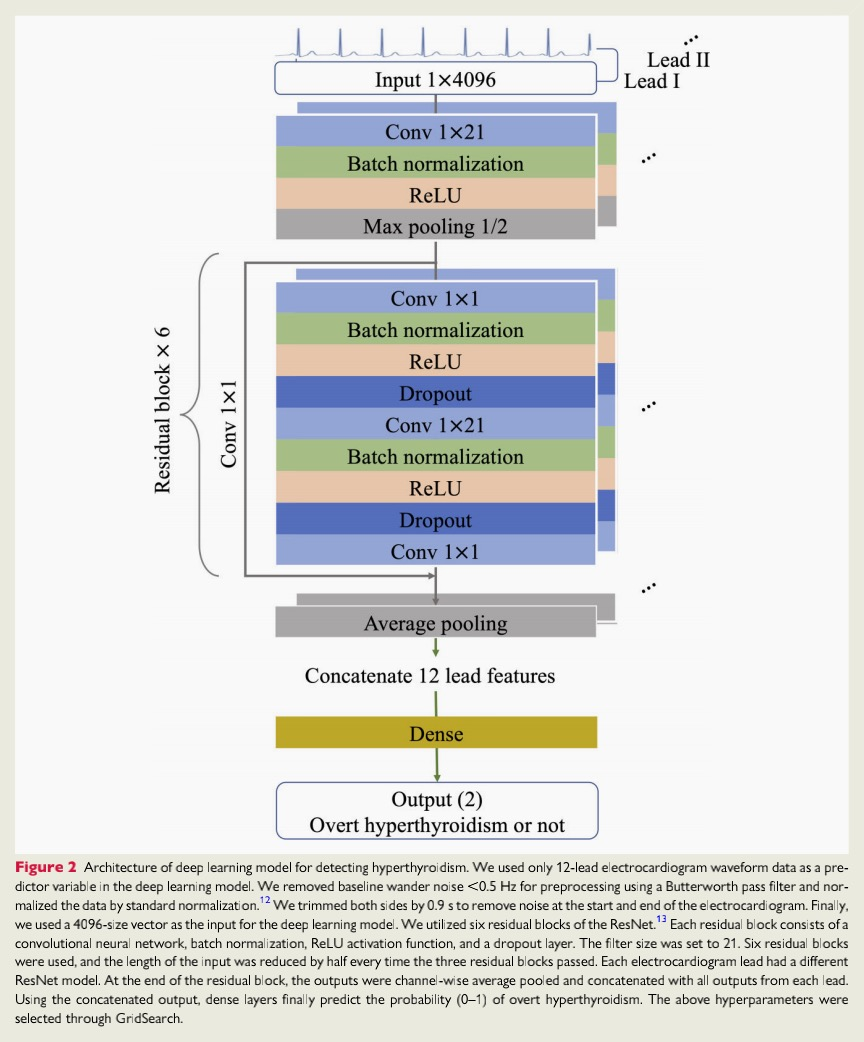 心电图机器怎么看【心闻速递】基于机器学习的心电图生物标志物检测显性甲状腺功能亢进_https://www.jmylbn.com_新闻资讯_第7张
