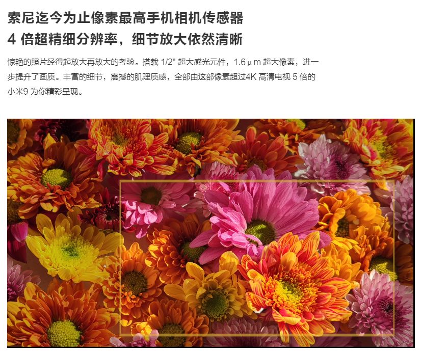 像素低照片提高怎么弄_照片像素太低怎么提高像素_像素低照片提高的软件