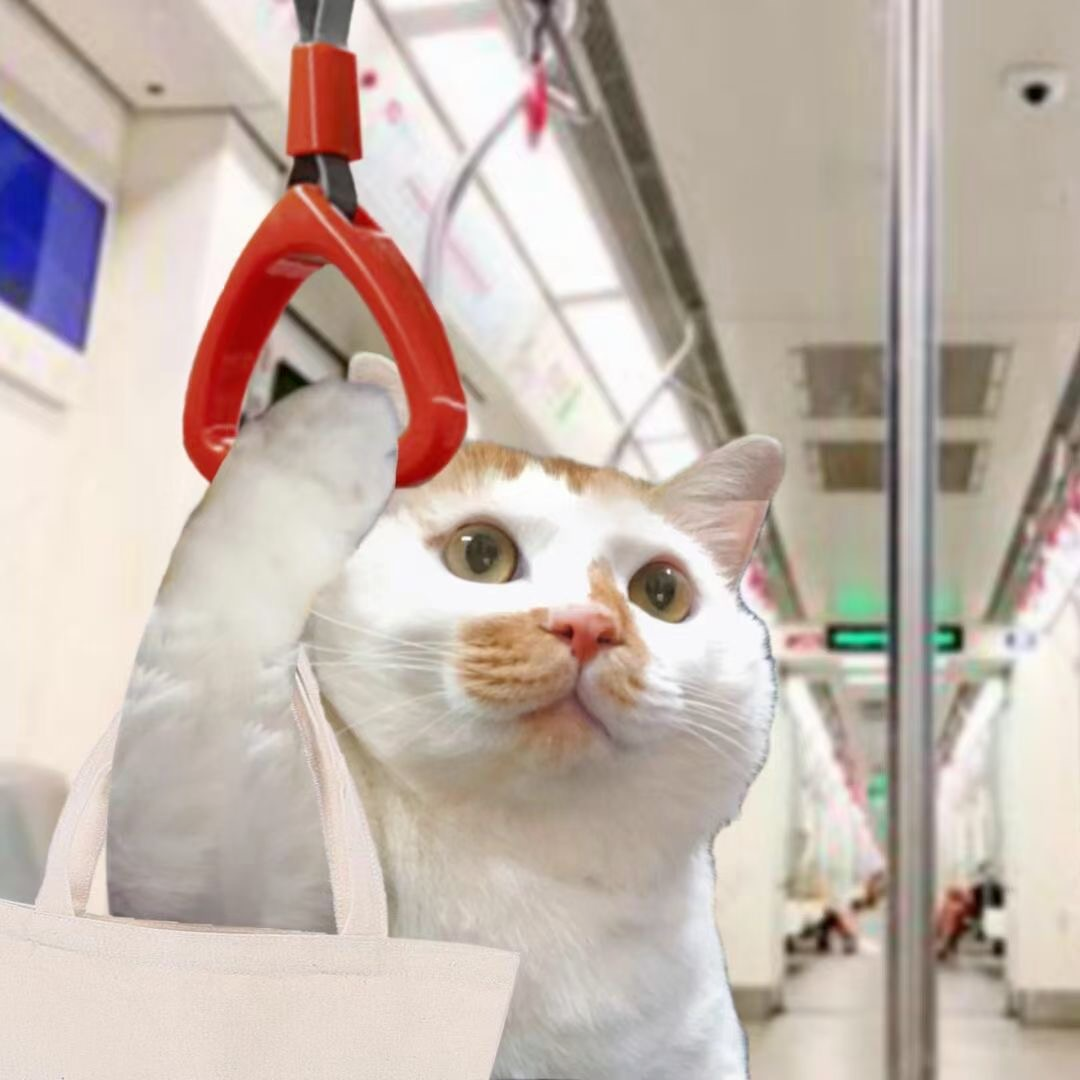 沙雕搞怪牛马打工人猫咪萌宠头像