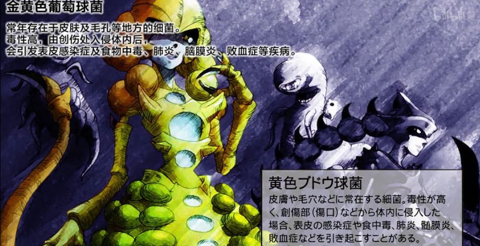 �ư��ˣ��������û�����廪�����Ԫ��