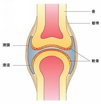 掰掰拳头卡卡响，小心手指变粗，关节炎？真相是……