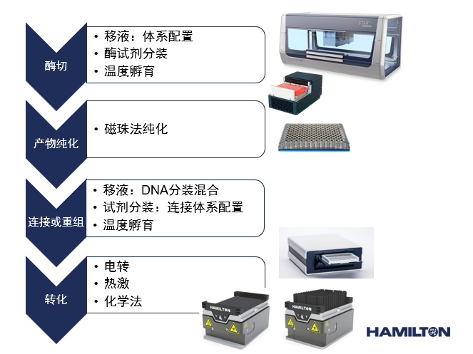 合成生物學(xué)自動化
