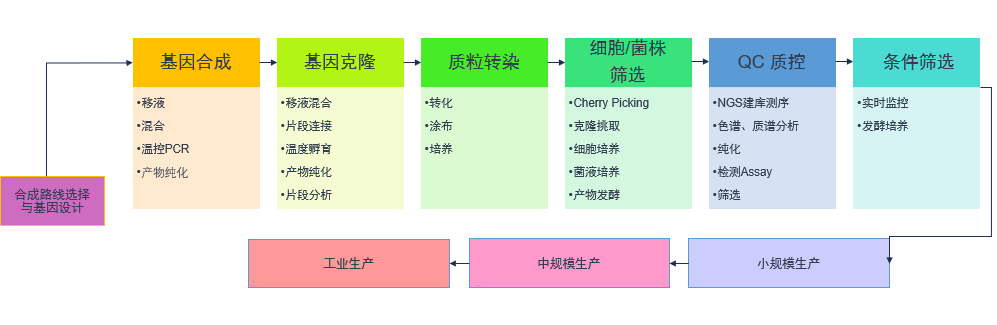 合成生物學(xué)自動化