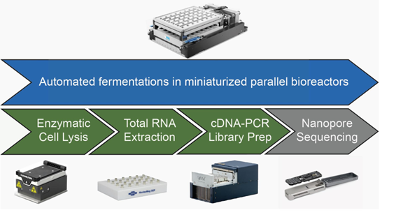 微生物發(fā)酵研究新方案：自動(dòng)化與高通量的<a class=