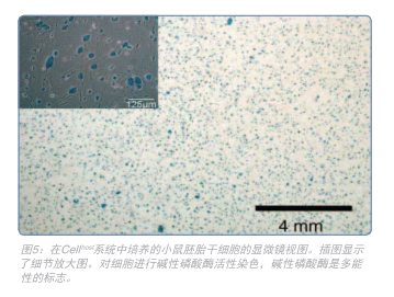 温和且灵活地<a class=